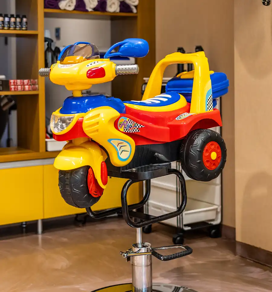 cennik damy pani senior