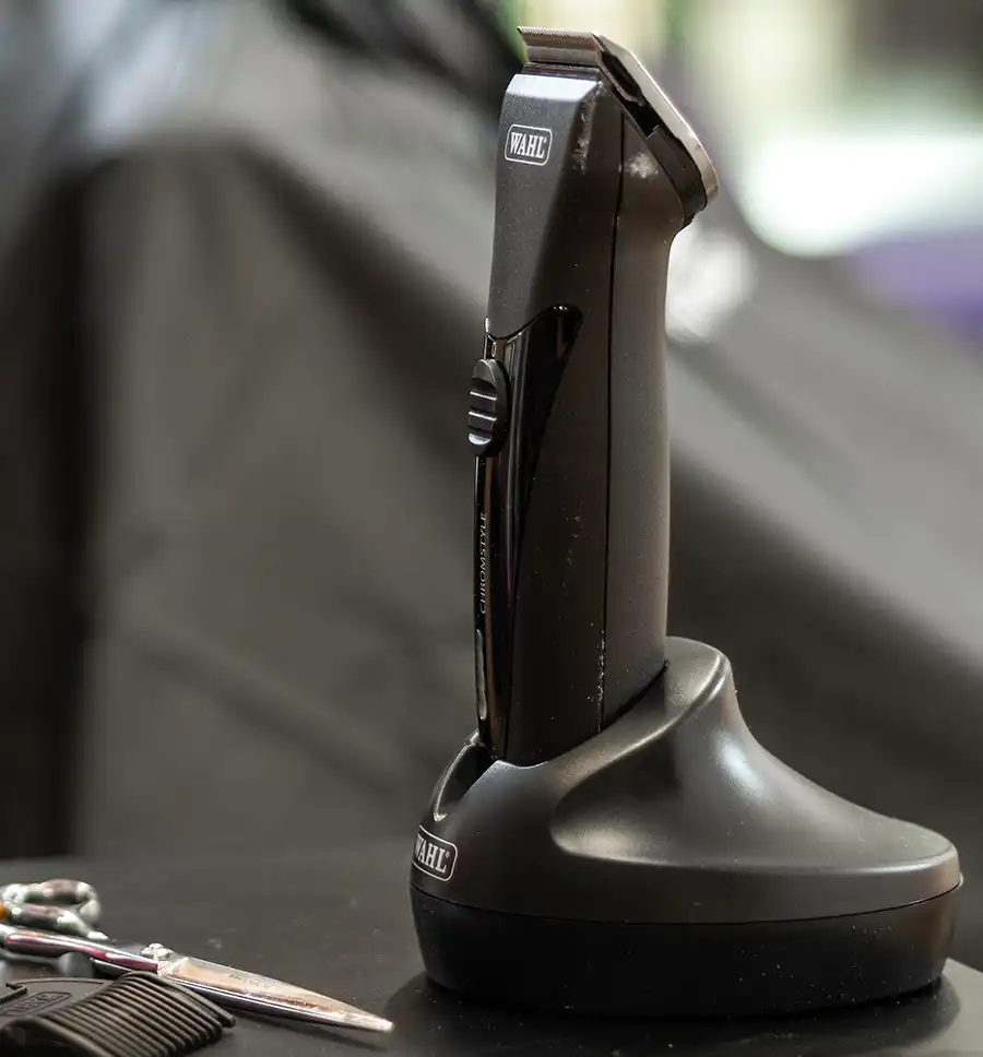 cennik damy deti senior